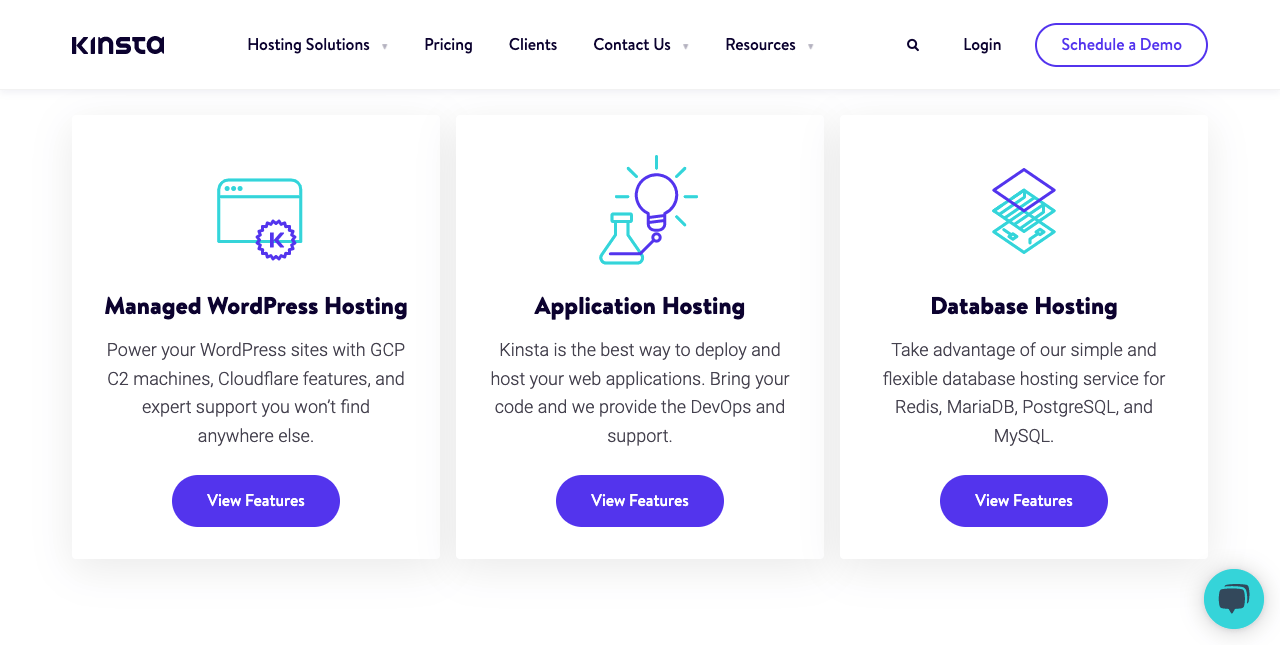 What Features Does Kinsta Offer?