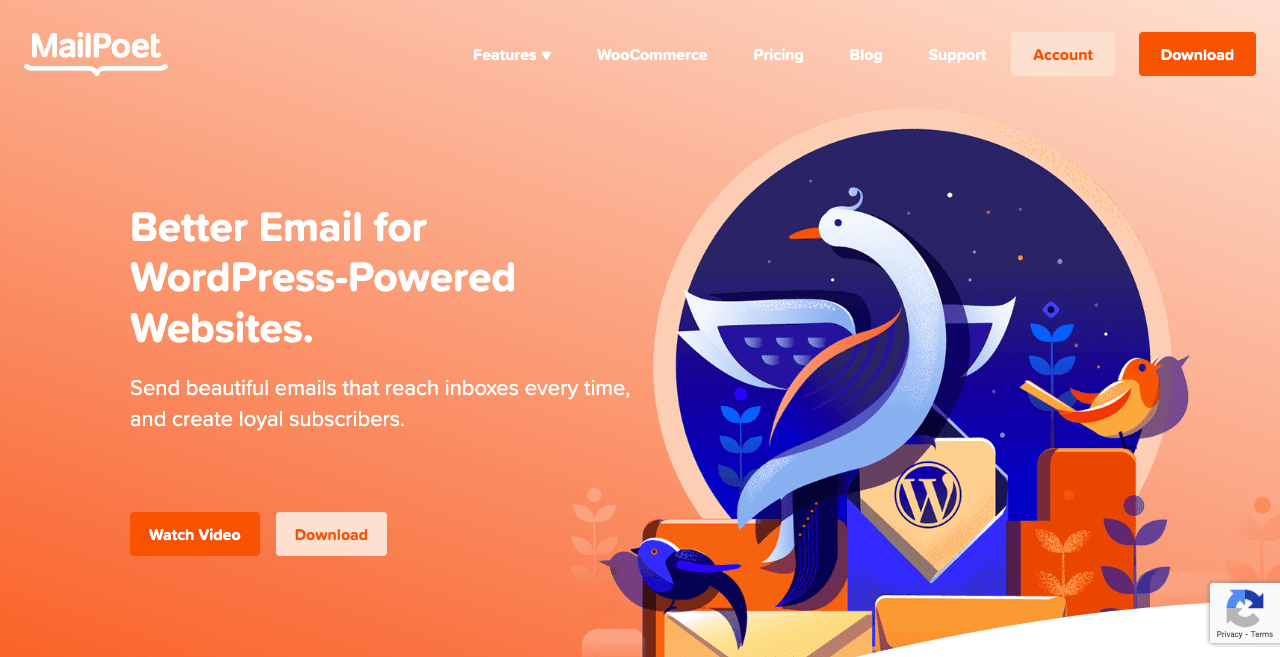 MailPoet | email marketing tools for WordPress
