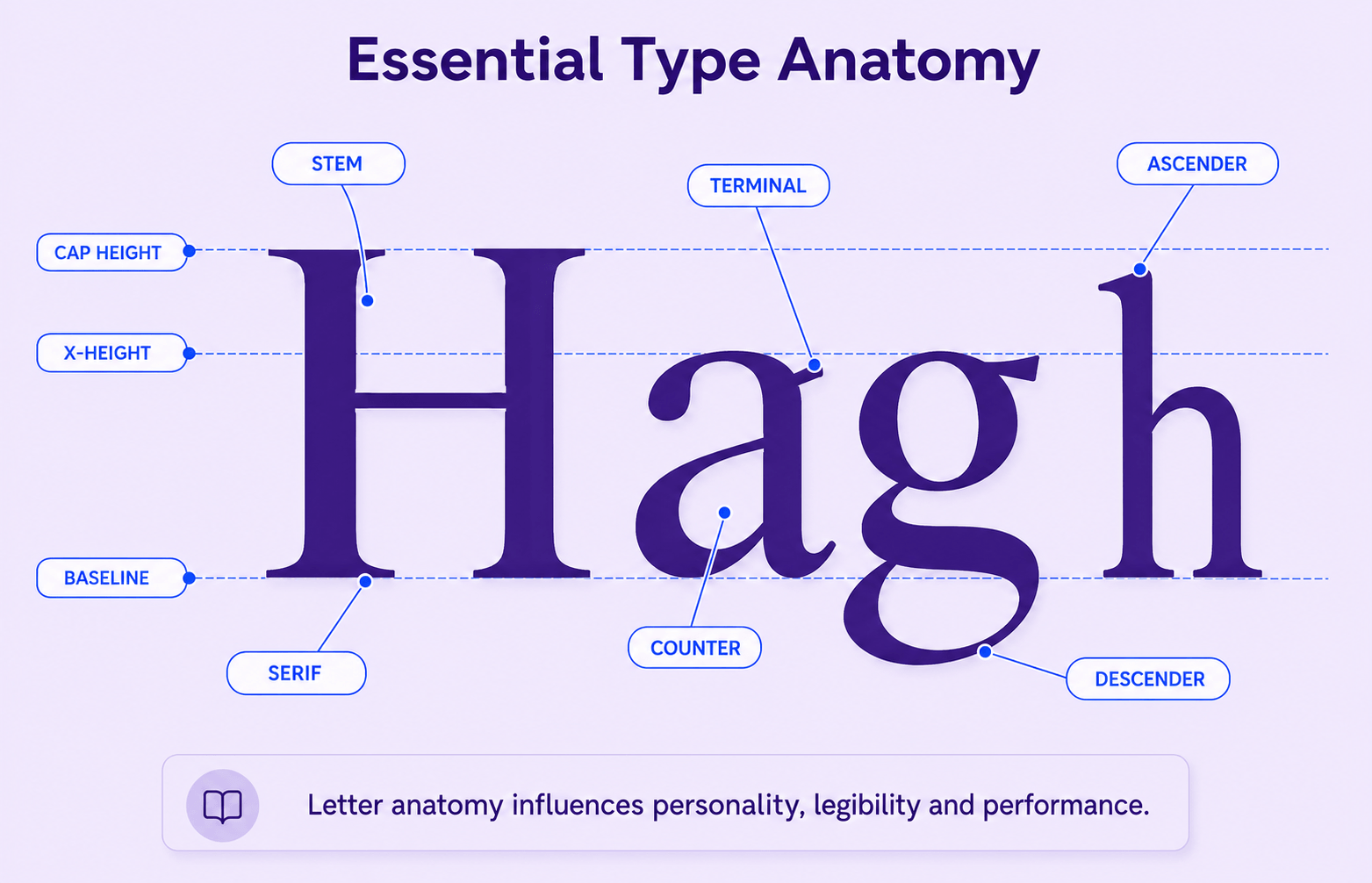 Typography Explained: Essential Principles, Examples and Design Rules for Beginners 3 Labelled serif letters showing cap height, x-height, baseline, stem, serif, counter, terminal, ascender and descender.